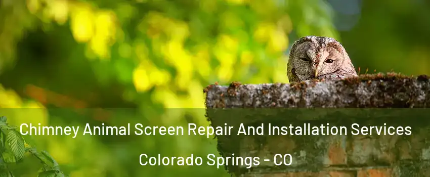  Chimney Animal Screen Repair And Installation Services Colorado Springs - CO