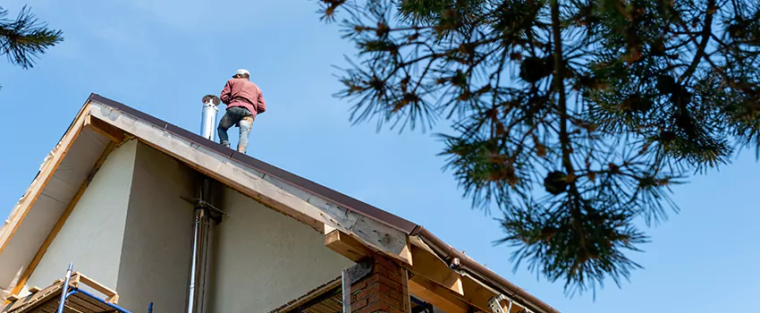 Birds Removal Contractors from Chimney in Colorado Springs, CO