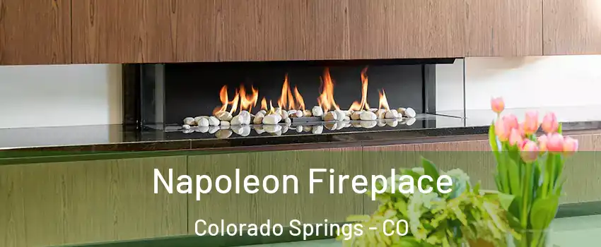  Napoleon Fireplace Colorado Springs - CO