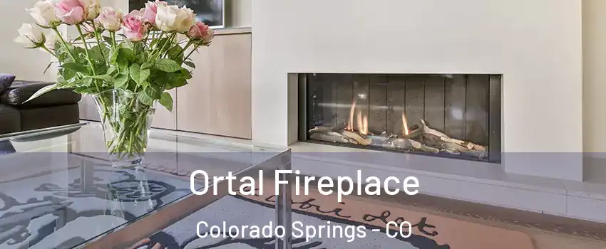  Ortal Fireplace Colorado Springs - CO